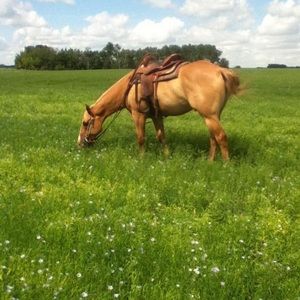 Meet your Posher, Veola